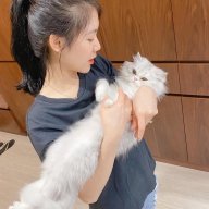 kieuvan9x